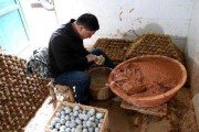 如何制作皮蛋视频教程(如何制作皮蛋视频教程下载)