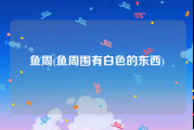 鱼周(鱼周围有白色的东西)