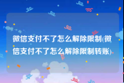 微信支付不了怎么解除限制(微信支付不了怎么解除限制转账)