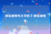微信视频号太可怕了(微信视频号)