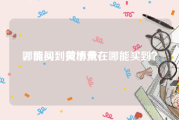 哪能买到微博黄v
，请问：黄小米在哪能买到？