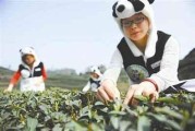 推销茶叶的视频(卖茶叶的技巧视频讲解)