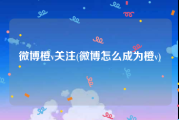 微博橙v关注(微博怎么成为橙v)