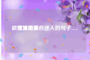 微博里的黄v
，微博里那些迷人的句子.......