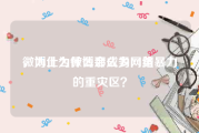 微博上为什么那么多网黄
，为什么微博会成为网络暴力的重灾区？