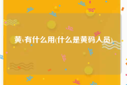 黄v有什么用(什么是黄码人员)