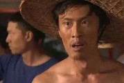 刘海柱骂人十秒短视频(刘海柱骂人十秒短视频无水印)