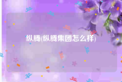 纵腾(纵腾集团怎么样)