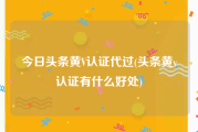 今日头条黄V认证代过(头条黄v认证有什么好处)