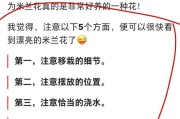 金色v字认证可复制符号
，如何通过兴趣认证啊。太难了？