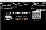 如何快速拥有100万粉丝的简单介绍