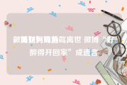 微博如何成黄v
，美女妈妈酒驾离世 微博“好醉得开回家”成遗言