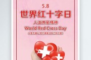 世界红十字日宣传视频的简单介绍