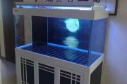 玻璃鱼缸制作视频(大型玻璃鱼缸制作视频)