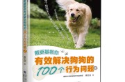 特别黄的100个问题(特别黄的100个问题真心话)