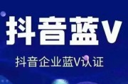 qq蓝v认证怎么弄的(腾讯课堂蓝v企业认证有什么用)