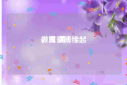 微博 黄v
，发微博缘起