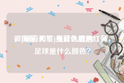微博黄v和红v是什么意思
，[绿茵天下]当蓝色遭遇红黄，足球是什么颜色？