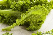盖菜做法视频(盖菜做法视频大全)