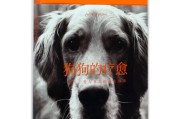 狗文账号交易(狗文账号交易手续费)