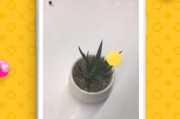 qq怎么拍短视频(怎么拍短视频给好友)