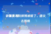 微博黄v蓝v
，蓝正龙的微博被喷了，建议去围观
