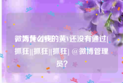 微博黄v小号
，为什么我的黄V还没有通过[抓狂][抓狂][抓狂] @微博管理员？