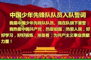 少先队宣传视频(少先队宣传视频制作)