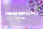 微博业务在线下单平台
，现在哪个顺风车平台单子比较多啊？