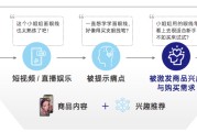 电商视频营销(短视频电商营销模式)