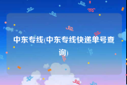 中东专线(中东专线快递单号查询)