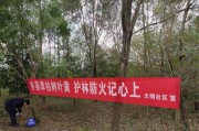 森林防火宣传视频短片(森林防火宣传视频短片央视)