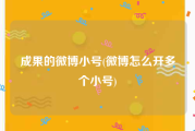 成果的微博小号(微博怎么开多个小号)