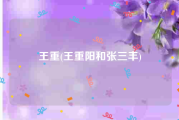 王重(王重阳和张三丰)