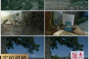 公益儿童广告视频大全(关于关爱孩子公益广告视频)