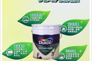 多乐士宣传视频(多乐士视频在线观看)