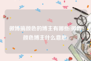 微博搞颜色的博主有哪些(微博颜色博主什么意思)
