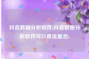 抖音数据分析软件(抖音数据分析软件可以查流量池)