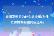 微博发照片为什么会变黄(为什么微博发的照片反过来)