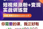 打造短视频(打造短视频ip)