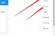 企鹅号怎么加黄v(企鹅号黄v是什么标志)