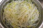 绿豆芽的做法视频(做绿豆芽的方法视频)