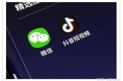 短视频的平台(短视频的平台数据)