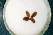 双皮奶做法视频教学(正宗双皮奶的做法大全视频)