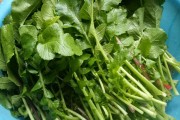 东北摊黄菜的做法视频(东北摊黄菜的做法视频窍门)