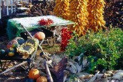 80年代农村短视频(80年代农村生活场景视频)