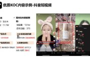 关于微博点赞自助平台小红书的信息