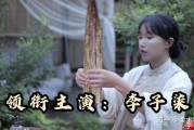 李子柒短视频(李子柒短视频所展示的中华文化魅力)