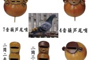 鸽哨制作视频(鸽哨制作方法视频播放)