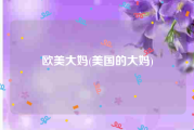 欧美大妈(美国的大妈)